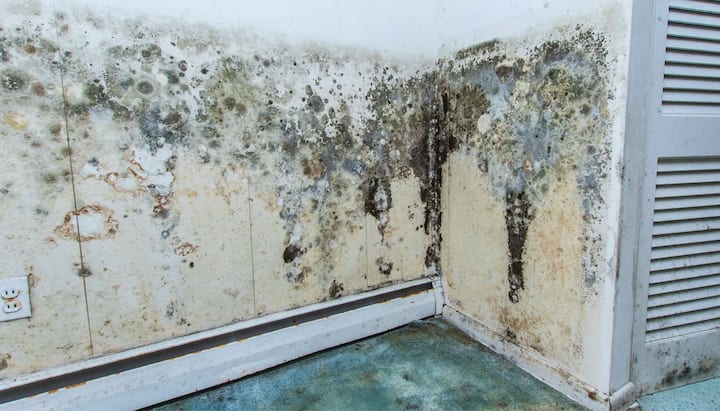 Professional mold removal, odor control, and water damage restoration service in Las Vegas, Nevada.