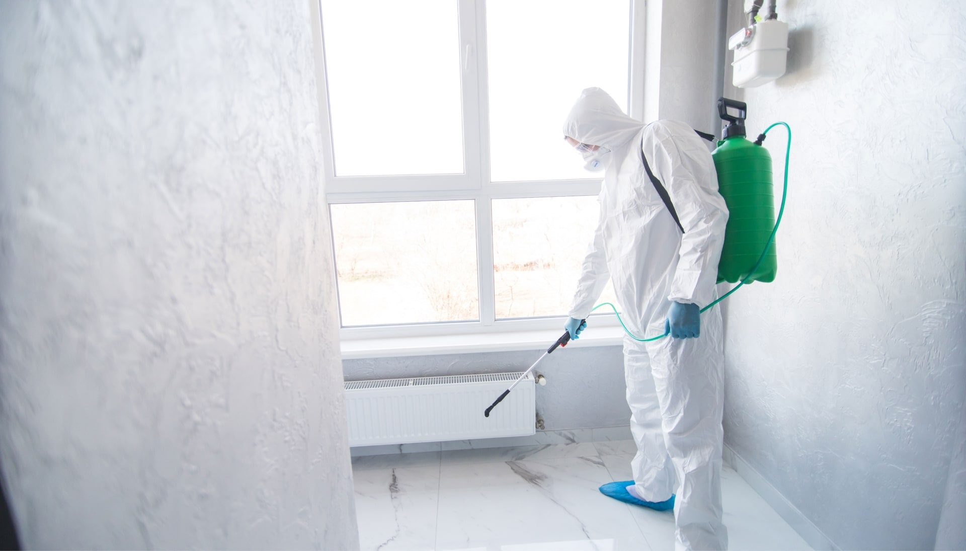 We provide the highest-quality mold inspection, testing, and removal services in the Las Vegas, Nevada area.